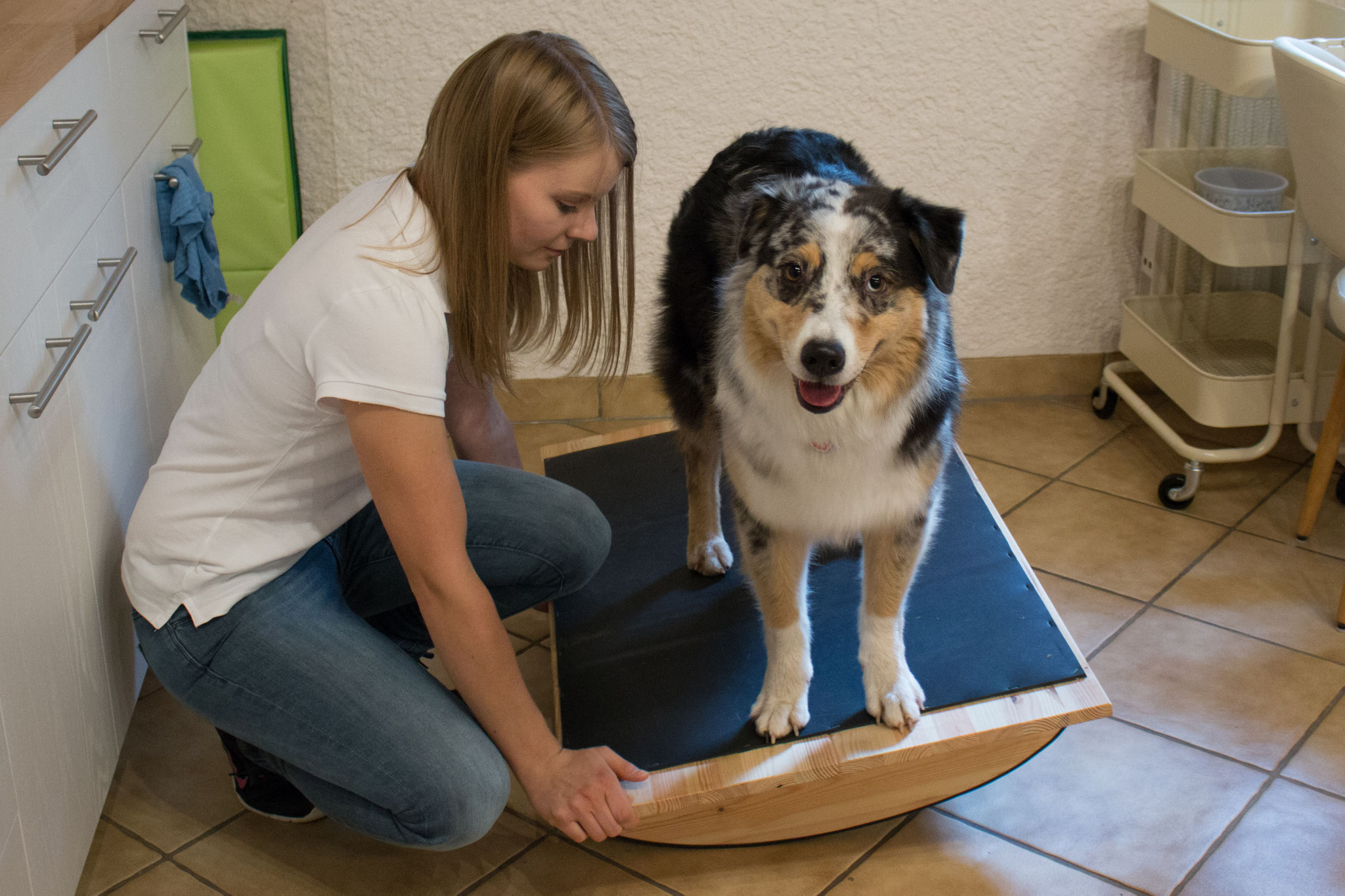 Hund 3