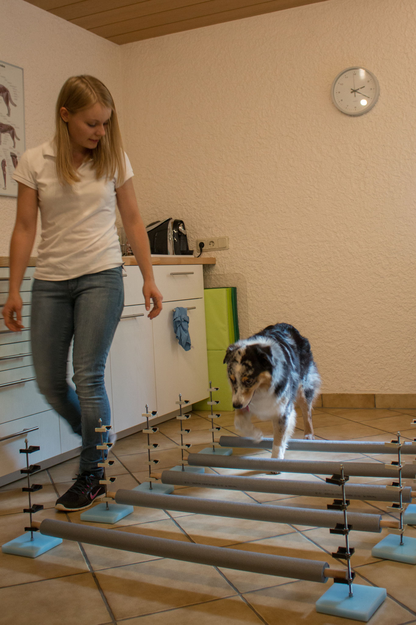 Hund 4
