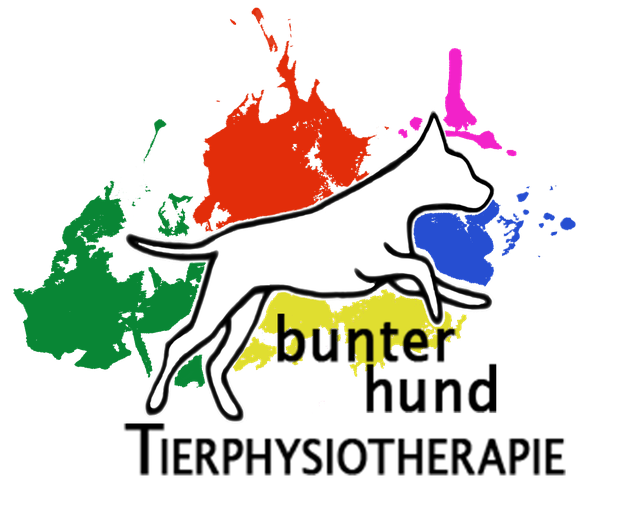 bunter hund Tierphysiotherapie